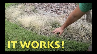 DIY Weed Killer that is SAFE and EFFECTIVE [upl. by Enimisaj]