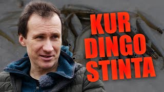 Pagavai paleisk principas ir ešeriai bei kur dingo stinta ichtiologas Kęstutis Skrupskelis [upl. by Orna637]