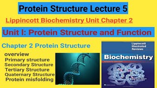 Protein Structure Lippincott Biochemistry Chapter 2 Lecture 5 [upl. by Buckley]