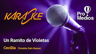 UN RAMITO DE VIOLETAS  KARAOKE [upl. by Anrapa]