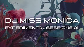 Experimental Sessions 01  Slow Techno  DJ Miss Monica [upl. by Ahseirej]