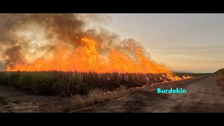 Burdekin cane farm Bowen [upl. by Zeralda]