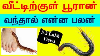 பூரான் வீட்டுக்குள் வந்தால் என்ன பலன்Pooran veetukul vanthal enna palanIndian Astrology Prediction [upl. by Ainud]