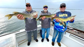 RAPTR Adventures Episode 33  Chain Pickerel Walleye amp Northern Pike in Chaumont Bay NY [upl. by Bonnee866]