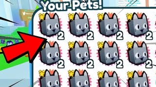 OMG HOW🤯😲 I GOT POG CAT in Pet Simulator X  Roblox [upl. by Drareg555]