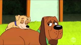 Pound Puppies quotBarlowquot Compilation [upl. by Merci]