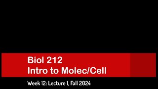 CSULB Biol 212 Fall 2024  Week 12 Lecture 1 [upl. by Vizza]