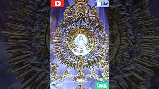 Sweet Sacrament DivineThe Carmelite Sisters of the Most Sacred Heart [upl. by Jany528]