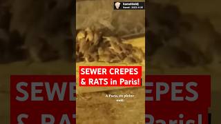 Sewer Crepes amp Rats in Paris rats sewer crepes paris travellers streetfood trending [upl. by Nacnud484]