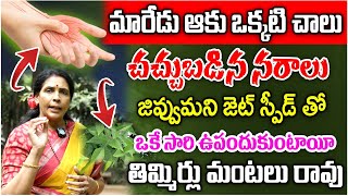 ఒక్క ఆకు చాలు నరాలన్నీ జెట్ స్పీడ్ తో పని చేస్తాయి  Nerve Week Ness  Aruna devi  iDream Health [upl. by Harriott]