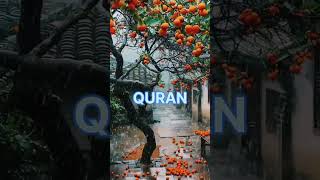 Surah Hashr Aayat 2627Urdu Translationshortsvideo youtubeshorts [upl. by Hyacinth]