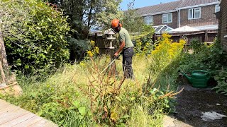 Homeowner stopped me while I was Working to see if i could Sort out his Overgrown Lawn [upl. by Treblig]