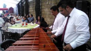 MARIMBA EN COYOACAN 5511291032 [upl. by Adaran]