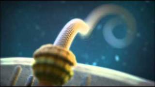 Irreducible Complexity The Bacterial Flagellum [upl. by Prouty]