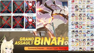 Who Needs Meta  Binah Torment 35750m 12 Teams  Blue Archive [upl. by Ailyn]