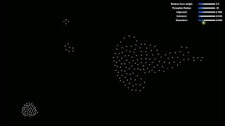 Visualizing Boids A Flocking Simulation [upl. by Infeld88]