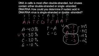 How to find if virus singlestranded or doublestranded [upl. by Dnalsor]