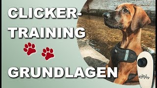 Clickertraining 2021  Hund Grundkommandos und Tricks beibringen  Grundlagen [upl. by Malloy]