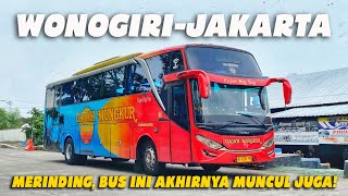 Entah Kapan Ada Lagi Saya Merasa Beruntung Bisa Naik Bus GAJAH MUNGKUR Trip Langka Bus Langka [upl. by Billy]