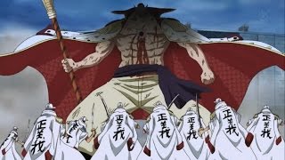 One Piece AMV  Whitebeard [upl. by Edlyn]