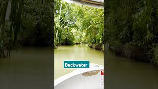 View of backwater shortsfeed travel viralvideo ytshorts kerala backwater shorts [upl. by Rinee211]