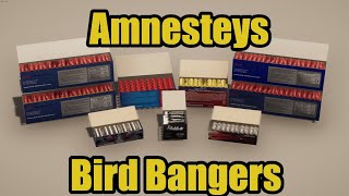 Amnesteys Bird Bangers Mod Review  Fireworks Mania [upl. by Bergren]