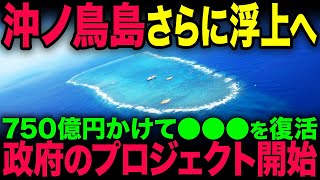 急浮上する沖ノ鳥島に日本政府が本気を出した！港湾整備プロジェクトのとんでもない内容 [upl. by Pasho289]