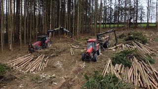 Zetor Crystal 16145 amp Palms 10D  Valtra 170 s harvestorovou hlavicí  Ročildi sro 🌲🪵 [upl. by Dorehs]