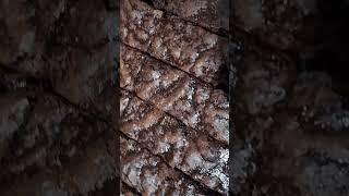 Homemade Choco Fudge chocolate homemade food [upl. by Collar884]