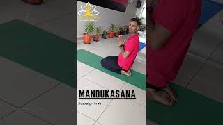 How to do Mandukasana [upl. by Austin]