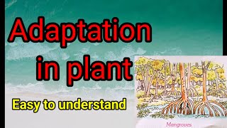 Adaptation in plants ☘️  plant habitats  class 4 science [upl. by Denby]