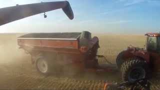 Huge farm in Alberta canada over 65 000 acres BampD WALTER FARMS Walters harvesting [upl. by Agni]