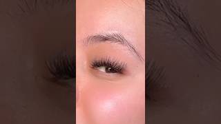 DIY lash extensions tutorial lashextensionslashtutorialdiylashextensionsathomelashextensions [upl. by Ettenahs427]