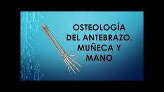 Osteología del antebrazo muñeca y mano [upl. by Ayoras]