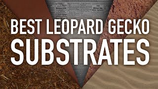 Best Leopard Gecko Substrates  Ranked  Pros amp Cons [upl. by Beltran]