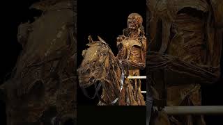 The Mysterious Beginnings of Mummification A short Dive Into Its Origins [upl. by Bocyaj]