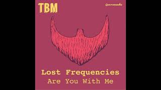 Lost Frequencies  Are You With Me Instrumental [upl. by Norene]