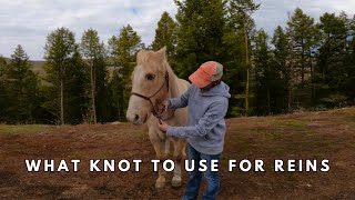 HOW TO TURN YOUR LEAD ROPE INTO REINSRIDE IN A HALTER [upl. by Yelnoc]