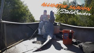 Alligator Snaggin with StaleKracker [upl. by Eenad390]