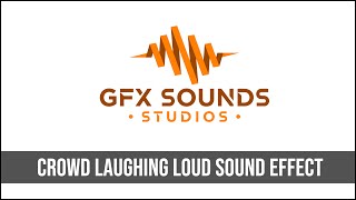 Crowd Laughing Loud Sound Effect [upl. by Stauder334]