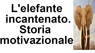 Lelefante incatenatoStoria motivazionale 1 [upl. by Ynos522]