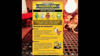 Coccidiosis ba Basic yan sa Sulpar QR battlecockproducts freerangechickenfarming chickenfarmer [upl. by Vary]