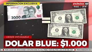 El dólar blue llegó a los 1000 ¿Qué va a pasar con la economía argentina [upl. by Llertnek]