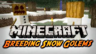 Minecraft Snow Golem Breeding Teleporting Item Repair Beta 19 PreRelease 2 [upl. by Ennayelhsa437]