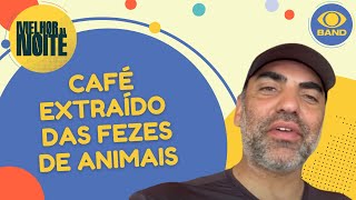 Café extraído das fezes de animal é um dos mais caros do mundo [upl. by Fisher]