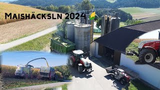 Maishäcksln in Hochsilos 🌽🚜  Hummer Heiligenberg  Gumpenbergeragrar [upl. by Zerdna]