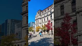 Montréal Canada 🇨🇦 travel city [upl. by Akenom]