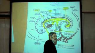 INTRO TO HUMAN EMBRYOLOGY PART 2 by Professor Fink [upl. by Firooc]