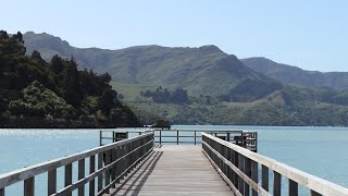 4K UHD  Governors Bay Beauty in Springtime  Christchurch  Canterbury  Inspirational Music [upl. by Thgiwd289]