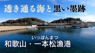 【釣り場動画50】和歌山南紀・みなべ町の一本松漁港、エギングが面白いアオリイカの実績十分の漁港 [upl. by Torrance]